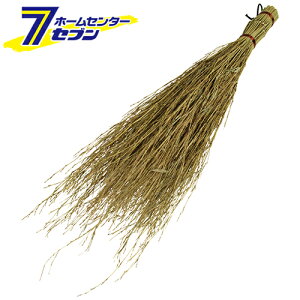 y|Cg5{zEl CBB-06 ^JV[ [| | N}f]y|CgUP:2025N111410:00`1116 23:59܂Łz