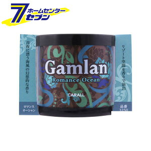 CARALL Gf wIX v`iV[  [ L F  LEF ԗp]