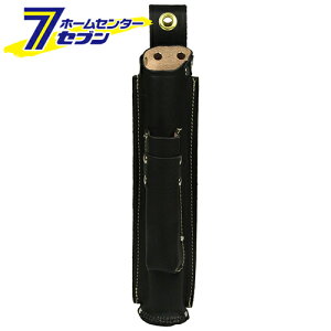 vnږ_P[X SHBL-10 Y [[pi  TbN v]