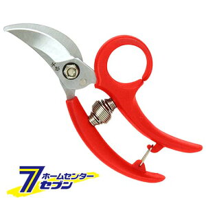 Ot|() SGP-39 Y [|  ]