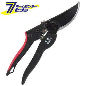 y|Cg5{zGF SObv g SGFP-1 Y [ |  ]y|CgUP:2025N111410:00`1116 23:59܂Łz