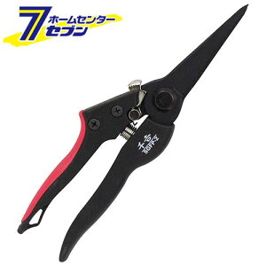 GF  g SGFP-2 Y [ |  ]