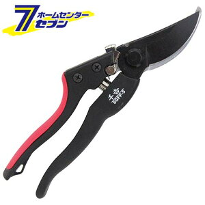 GF WObv g SGFP-5 Y [ |  ]