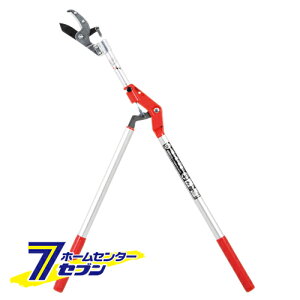 y|Cg5{zAr^} 1.0M SGLP-6 Y [|  ]y|CgUP:2025N111410:00`1116 23:59܂Łz