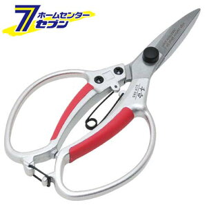 y|Cg5{zA~A ʐn SGP-5NS Y [|  A ~]y|CgUP:2025N111410:00`1116 23:59܂Łz