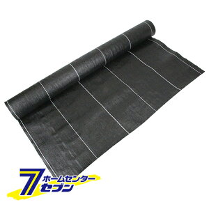 xhV[g  1M×20M Y [ |pi |_Ǝ сEՌlbg ZteB[3]