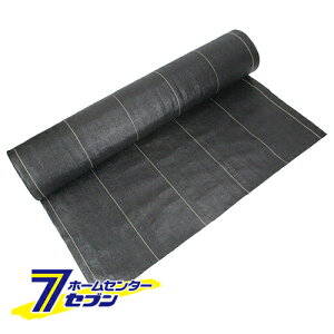 xhV[g  1M×50M Y [ |pi |_Ǝ сEՌlbg ZteB[3]