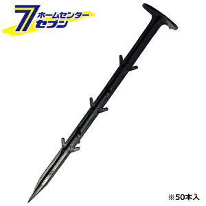 V[g 50P 21cm Y [ |pi |_Ǝ сEՌlbg]