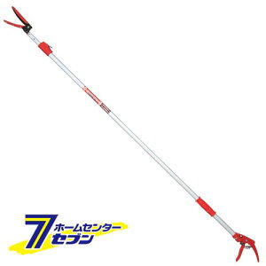 nLk} EGLP-3 Y [| } Lk}]