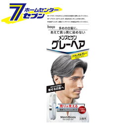 ホーユー メンズビゲン グレーヘア (ナチュラルグレー) 40g+40g ホーユー [ヘアカラー 白髪染め 男性用]