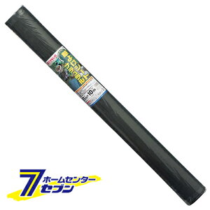 PV[g i` 1MX10M {}^C [|pi _Ǝ  Ռlbg]