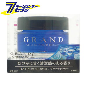 ԗp F Oh GRAND VFA 65 L v`iV[ 55ml 3171 [CARALL J[I[ tOX Q u^  ԓ J[pi ]