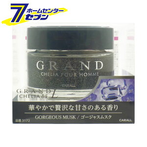 ԗp F Oh GRAND VFA65 L S[WXXN 55ml 3172 [CARALL J[I[ tOX Q u^  ԓ J[pi ]