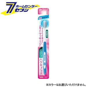 VXe} nOLvXnuV Chwbh 炩 1{ CI [uV Ԃ炵 ]