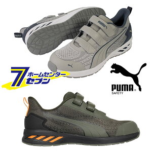 v[} PUMA SC OCh [ tbN[v (GLIDE LOW H&L) [Z[teBV[Y ƌC [Jbg xgX^C y Xj[J[ ƌC JWA puma]