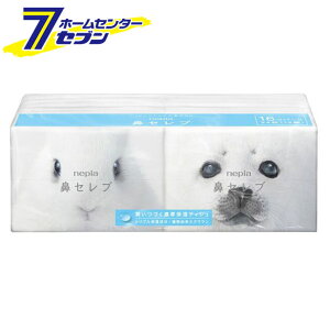 @Zu |PbgeBV 16pbN lsA [|PbgeBbV eBbVy[p[ nepia]