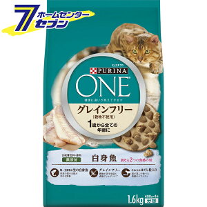 siLbg OCt[isgpj 1΂SĂ̔N g 1.6kg×6܃Zbg lX [ybgt[h L Lbgt[h si]