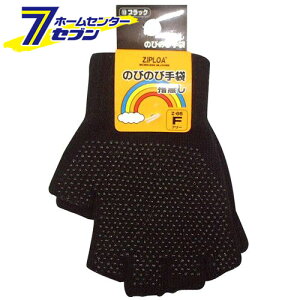 ̂т̂ю iw؂^Cvj ubN F Z-65 R[RXM [ƕ ƒ [N]