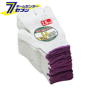 TCYR 2D5{ 10og TV LL B-2810 R[RXM [ƕ ƒ [N]