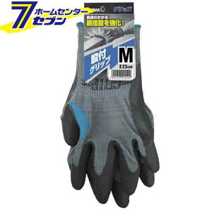 ҕtObv (^Ot) ubN M V[O[u [Ǝ S ƕ ƒ [N]