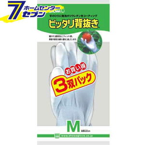 sb^w 3opbN u[ M 534391 V[O[u [Ǝ R ƕ ƒ [N]