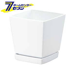 NG`[|bg Mt5 0.8L zCg av [|pi ƒ뉀| v^[]