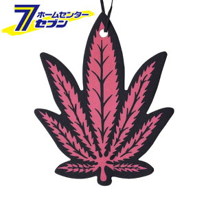 wv GA[tbVi[ uAfBNg NAX-051-023 j[A[NX [F ݂艺 J[ANZT[ gC]