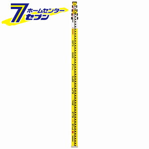 A~X^bt TS-55 STS [ ʋ@ x]