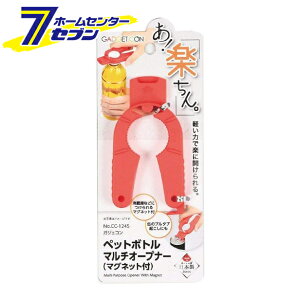 p[ KWFR ybg{g}`I[vi[ }Olbgt CC-1245 [WJ]