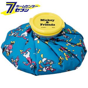XP[^[ ACXobO M ~bL[tY ICB2 [fBYj[ Disney MǑ΍ p X|[c  ҏ M ACVO X X̂ XX LN^[]yhc9z
