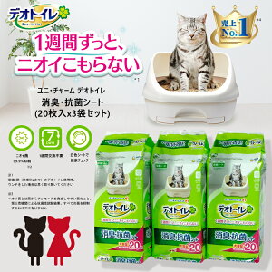 jE`[ fIgC LERۃV[g(20*3܃Zbg) [fIV[g L RۃV[g ybgV[c]