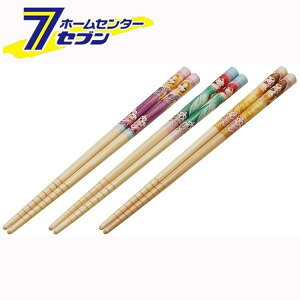 XP[^[  vZX18 3PZbg i16.5cmj ANT2T [fBYj[ q qp͂ ͂ ͂Zbg LN^[ObY { Skater]