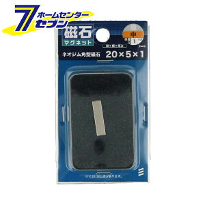 lIW p^ c20mm×5mm×1mm 1 [}Olbg  lIWE lIW[ ˂]