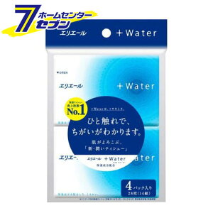 GG[ vXEH[^[ (+Water) eBV[ |Pbg (4pbN) [EFbgeBbV 剤]