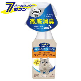 ニャンとも清潔トイレ 消臭プロフェッショナル スプレー 本体 フレッシュグリーンの香り （270ml） エステー [猫 ネコ 猫トイレ ウンチ オシッコ専用 消臭スプレー トイレスプレー ノンアルコール 除菌スプレー ペット用]