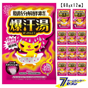  \[_XJbV̍ 60g i12j Ό oC\ [  Y_  byfz ܂Ƃߔ Zbg ΂Ƃ bison]