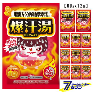  zbgA}̍ 60g i12j Ό oC\ [  Y_  byfz ܂Ƃߔ Zbg ΂Ƃ bison]