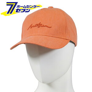 AEghALbv IW F FF-100 [Xq  t@CAtHbNX R[RXM]