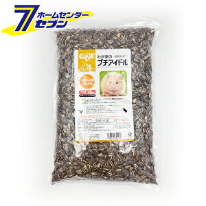 킪Ƃ̃v`ACh Ђ܂̎ 1.6kg {Y [X nX^[ bg  CR IE a XX]