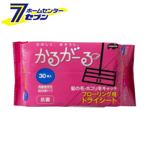 t[Op hCV[g 30 邪[ [t[OV[g R ʉ ʃTCY RY]