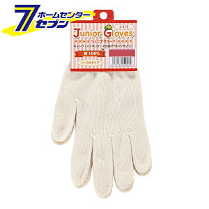 WjAO[u Li L zCg/zCg 515 [R qp LbY ʋC z Ɨp AEghA Y]