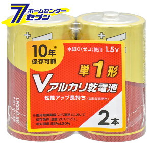 V�A���J�����d�r �P1�` 2�{�p�b�N �i�i�ԁj08-4120 LR20VS2P [�d�r:�A���J�����d�r �I�[���d�@]