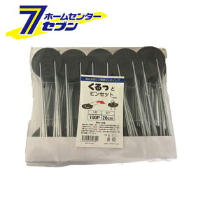 (@l) ƃsZbg 20cm 100P [_Ǝ ƒ؉ |  s hV[g VZC]