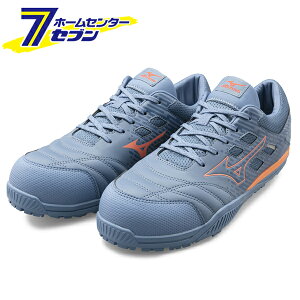 ~Ym I[}CeB [NV[Y 25cm u[O[×R[ TDII 11 L F1GA230027250 [[LO ƌC Xj[J[ jZbNX [Jbg RC y Ռz NbV ϊ ʋC