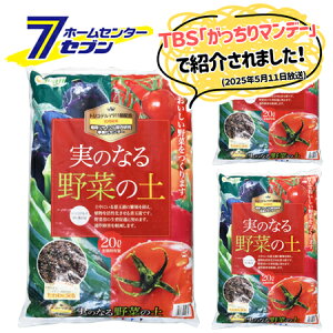 ̂Ȃ؂̓y 20Lx3 [y |p |{y ؑS ʂ̑  TXeireB gRf}911 nɂ₳ }f[ ΕY]