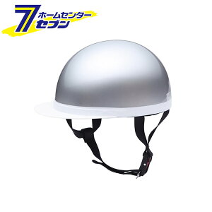 x[VbNX^C n[tLbv Vo[ F BH-01S jJ[H [w  oCNpi]