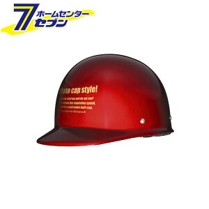 n[tLbvwbg LfBbh F BH-09R jJ[H [Xqbg w  oCNpi]