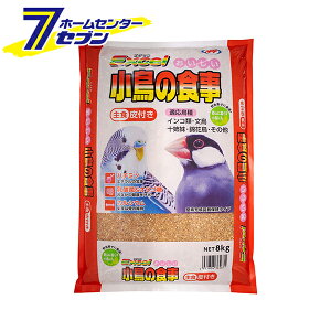 GNZ  ̐H t { 8kg i`ybgt[Y [炠 ̉a GT H ybgt[h]