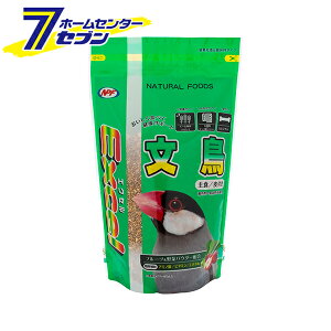 GNZ  t { 600g i`ybgt[Y [炠 p a H ʕ ؃ybgt[h]