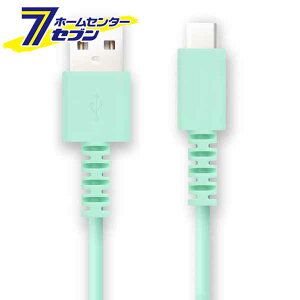 Type-C�P�[�u�� 5V3A 1.0m �p�X�e���u���[ FS-UAC100-BL [�g�� �X�}�z �^�u���b�g �����O�u�b�V�� �}���[�d FSC]